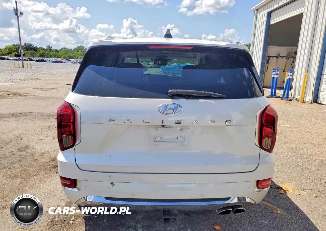 2020 Hyundai Palisade Limited VIN:KM8R54HE8LU134358 - 6