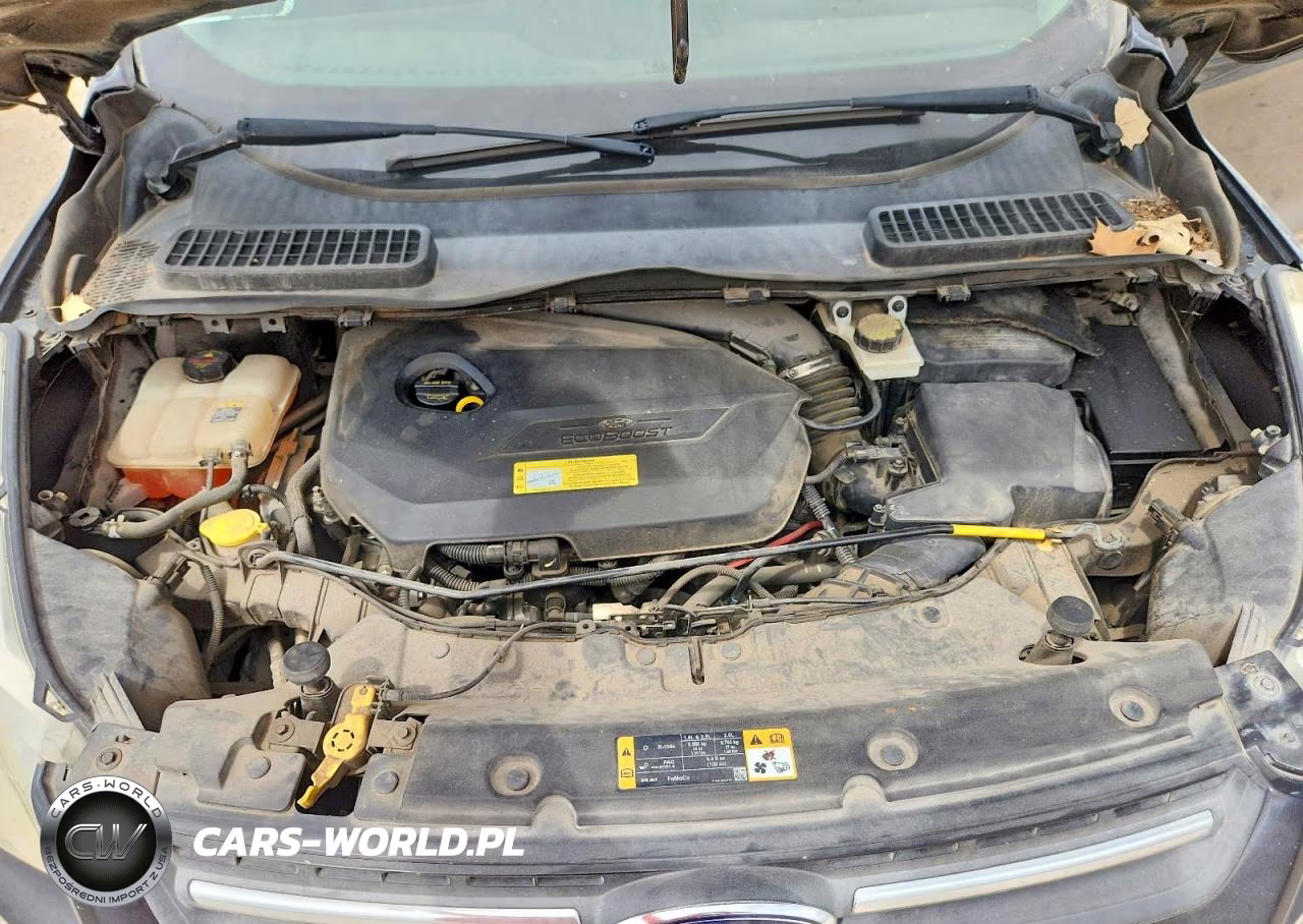 2013 Ford Escape Se VIN:1FMCU0GX9DUD53223 - 12