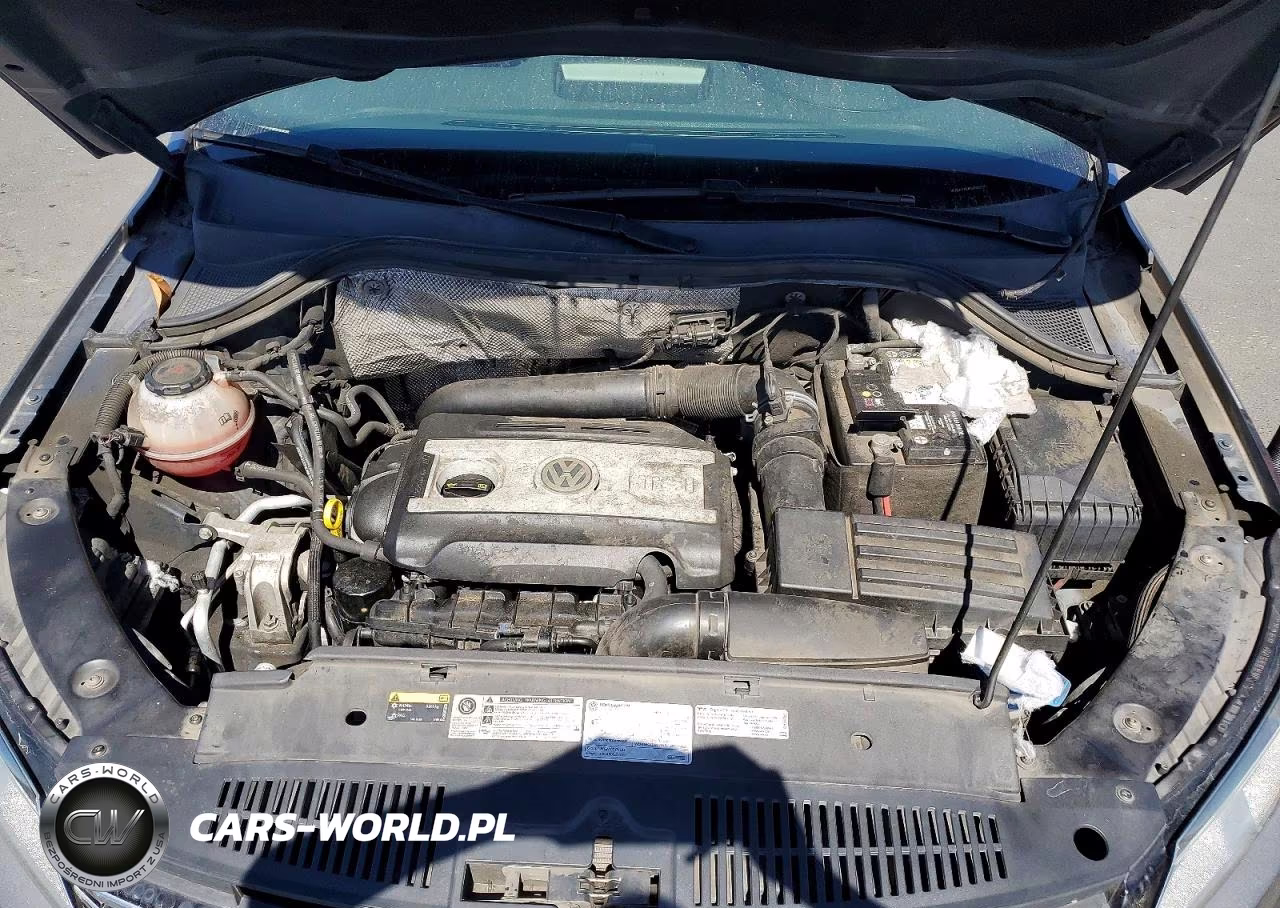 2018 Volkswagen Tiguan Limited VIN:WVGAV7AXXJK002351 - 11
