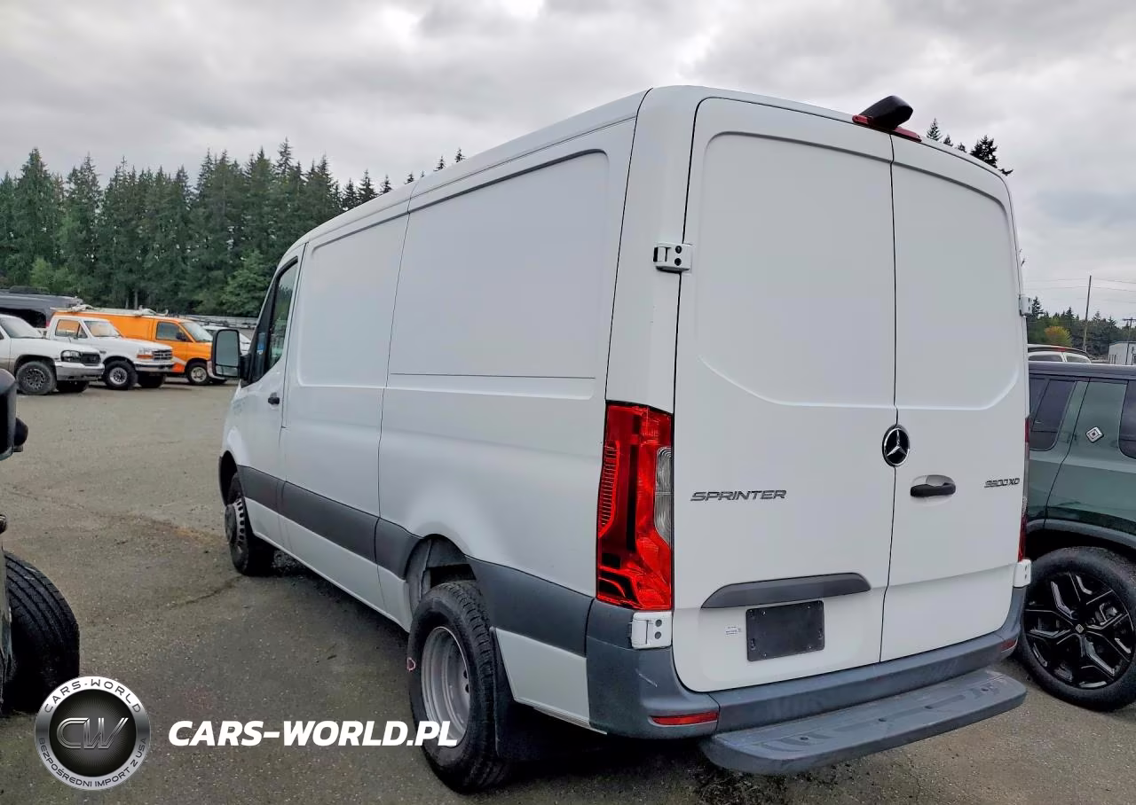 2020 Mercedes-Benz Sprinter VIN:W1W8EB3Y6LP206134 - 2