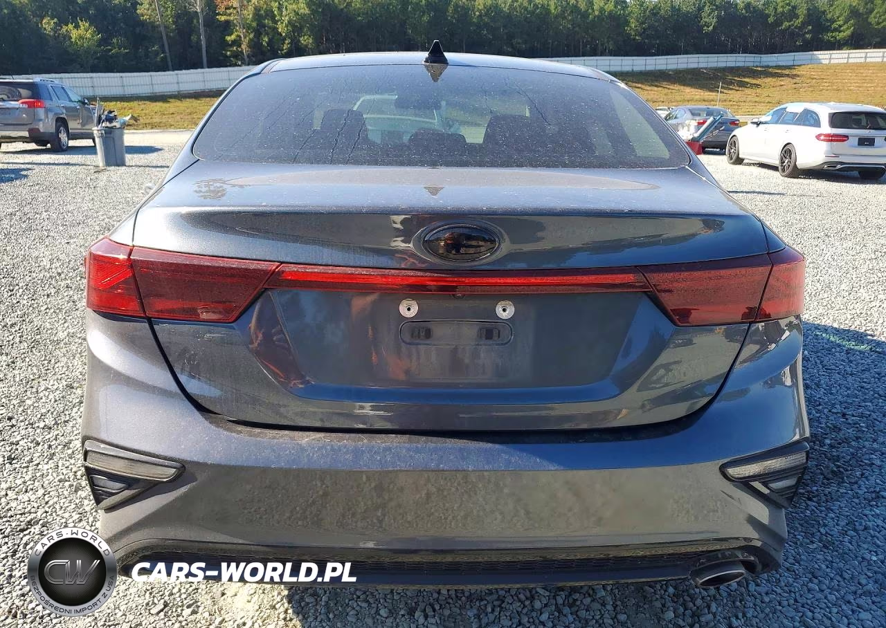 2019 Kia Forte Lxs VIN:3KPF24AD0KE076390 - 6