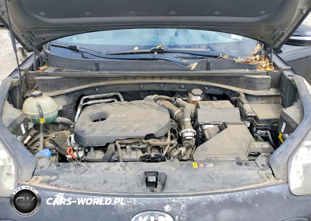 2017 Kia Sportage Sx VIN:KNDPRCA69H7051346 - 12