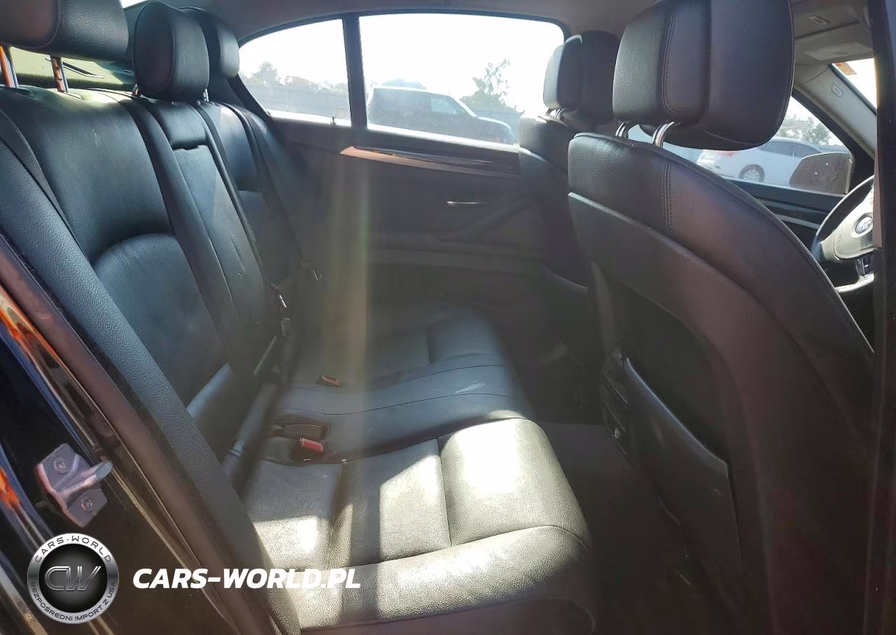 2013 BMW 528 Xi VIN:WBAXH5C59DD110391 - 10