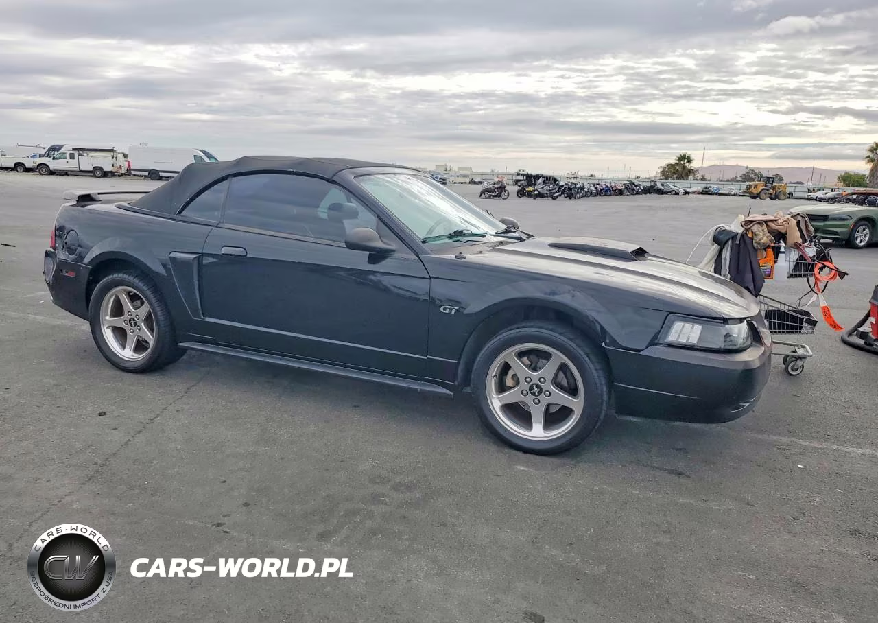 2003 Ford Mustang Gt VIN:1FAFP45X93F352715 - 4