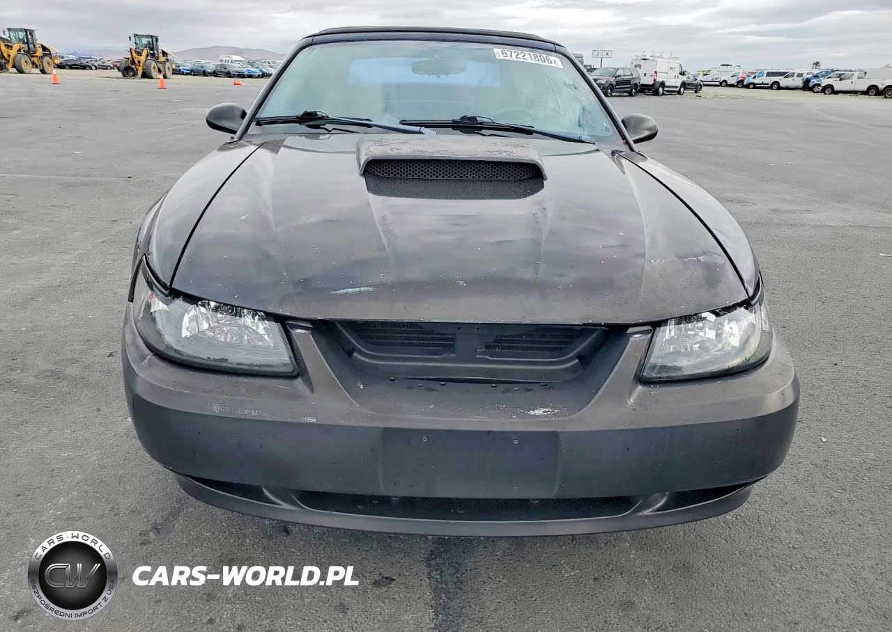 2003 Ford Mustang Gt VIN:1FAFP45X93F352715 - 5