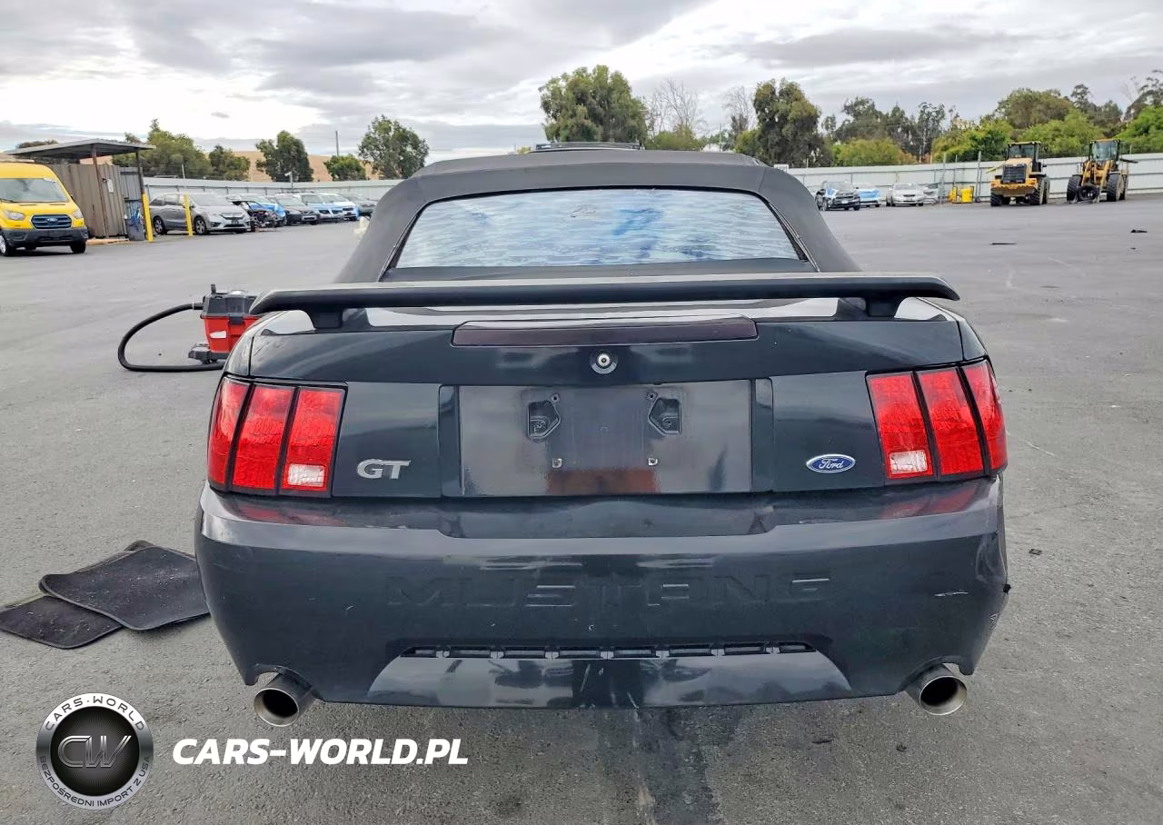 2003 Ford Mustang Gt VIN:1FAFP45X93F352715 - 6