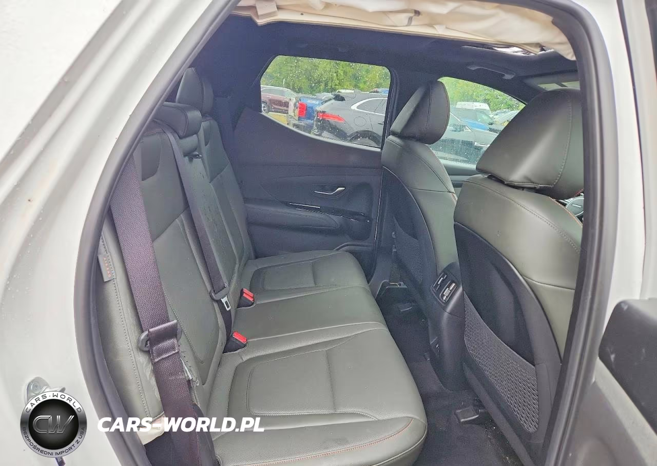 2025 Hyundai Santa Cruz Limited VIN:5NTJEDDF1SH138102 - 10