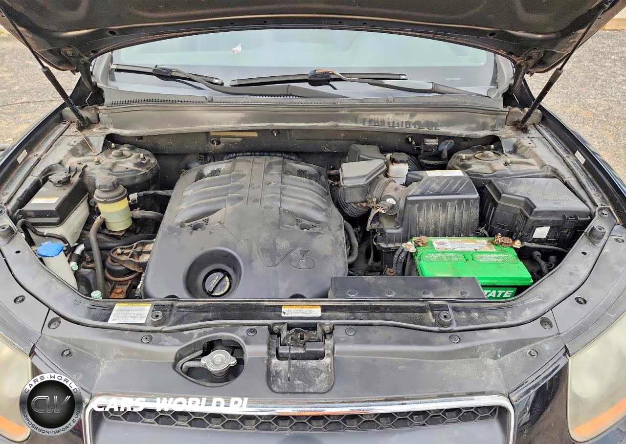 2008 Hyundai Santa Fe Se VIN:5NMSH73E28H222374 - 12