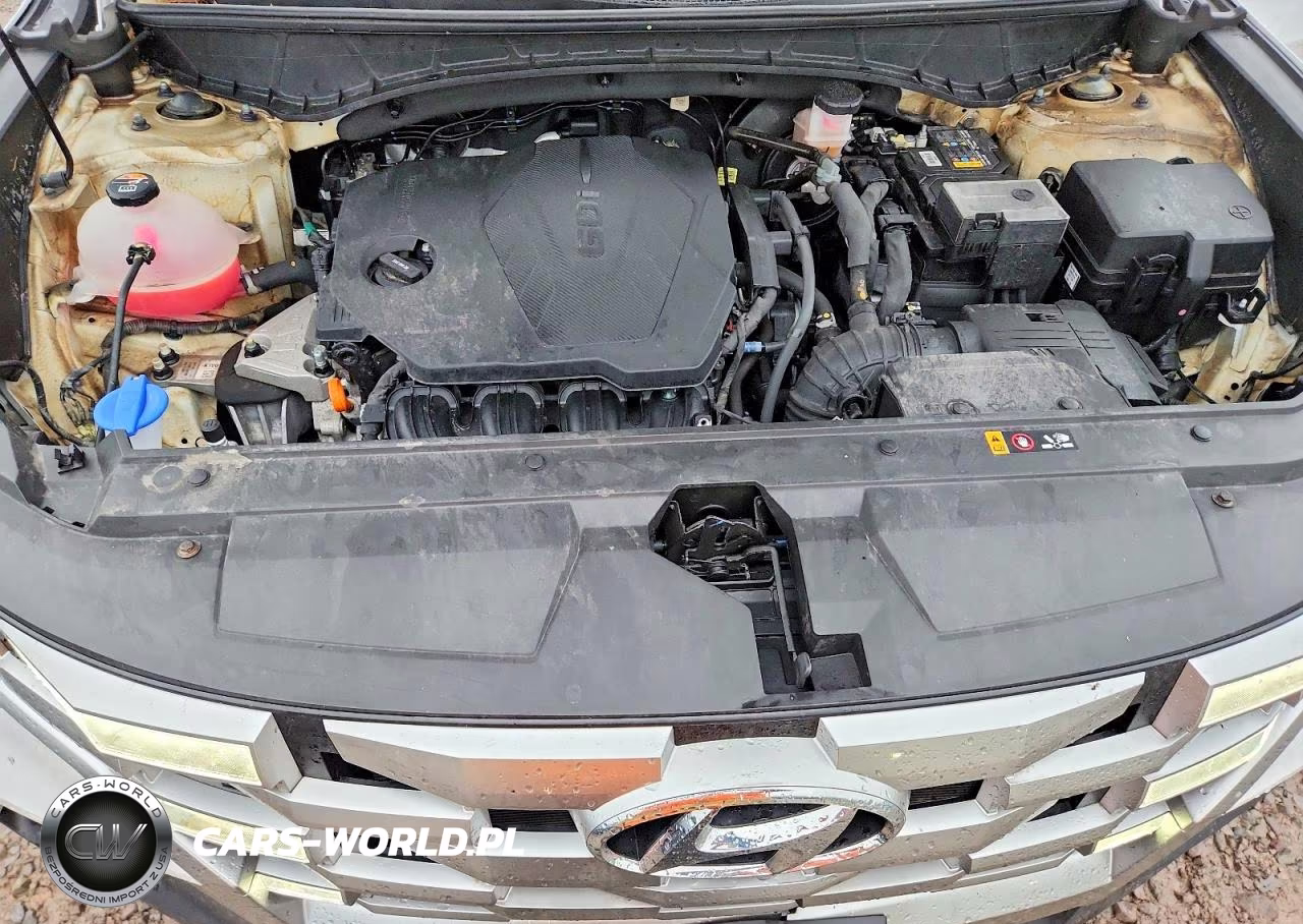 2023 Hyundai Santa Cruz Sel VIN:5NTJBDAE2PH069643 - 11