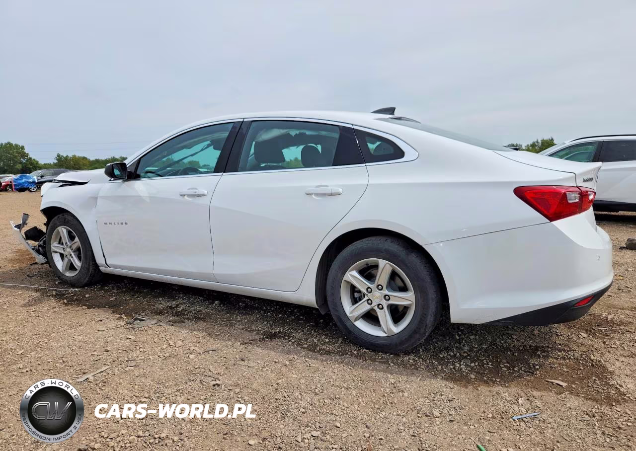 2019 Chevrolet Malibu Ls VIN:1G1ZC5ST9KF208972 - 2