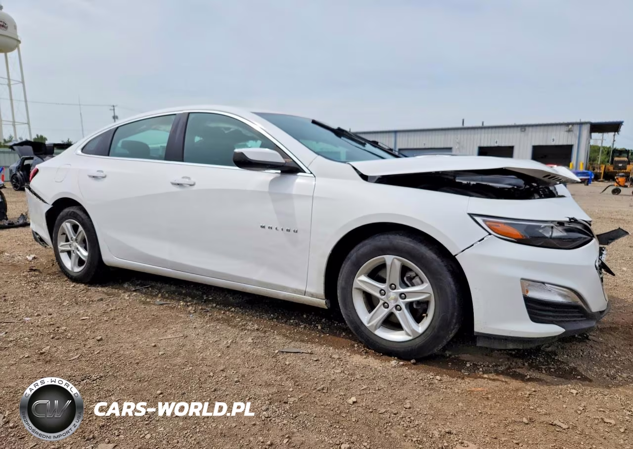 2019 Chevrolet Malibu Ls VIN:1G1ZC5ST9KF208972 - 4