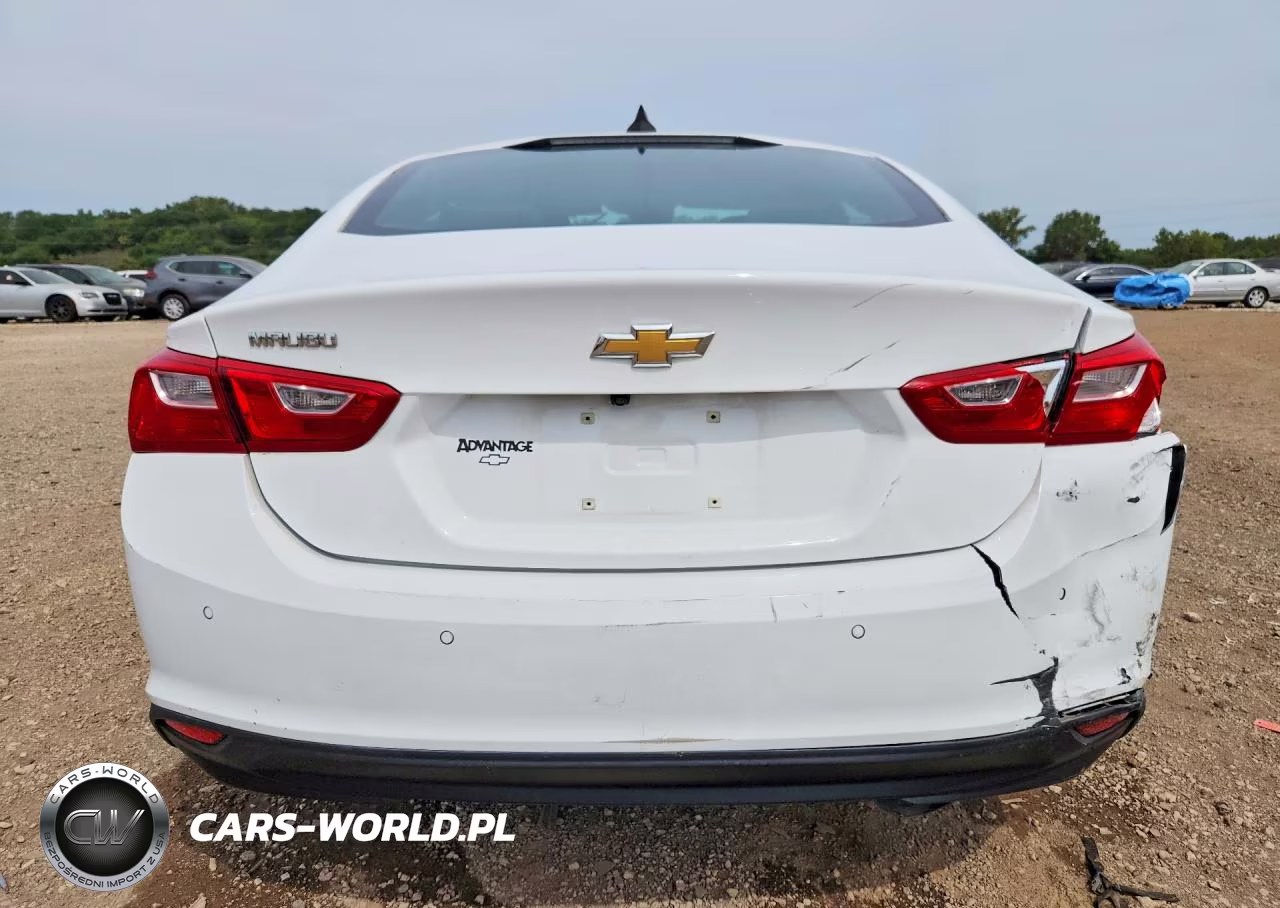2019 Chevrolet Malibu Ls VIN:1G1ZC5ST9KF208972 - 6