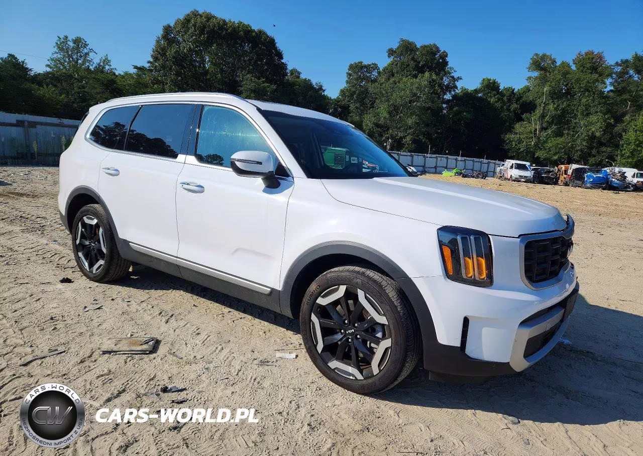 2025 Kia Telluride S VIN:5XYP64GC5SG707158 - 4