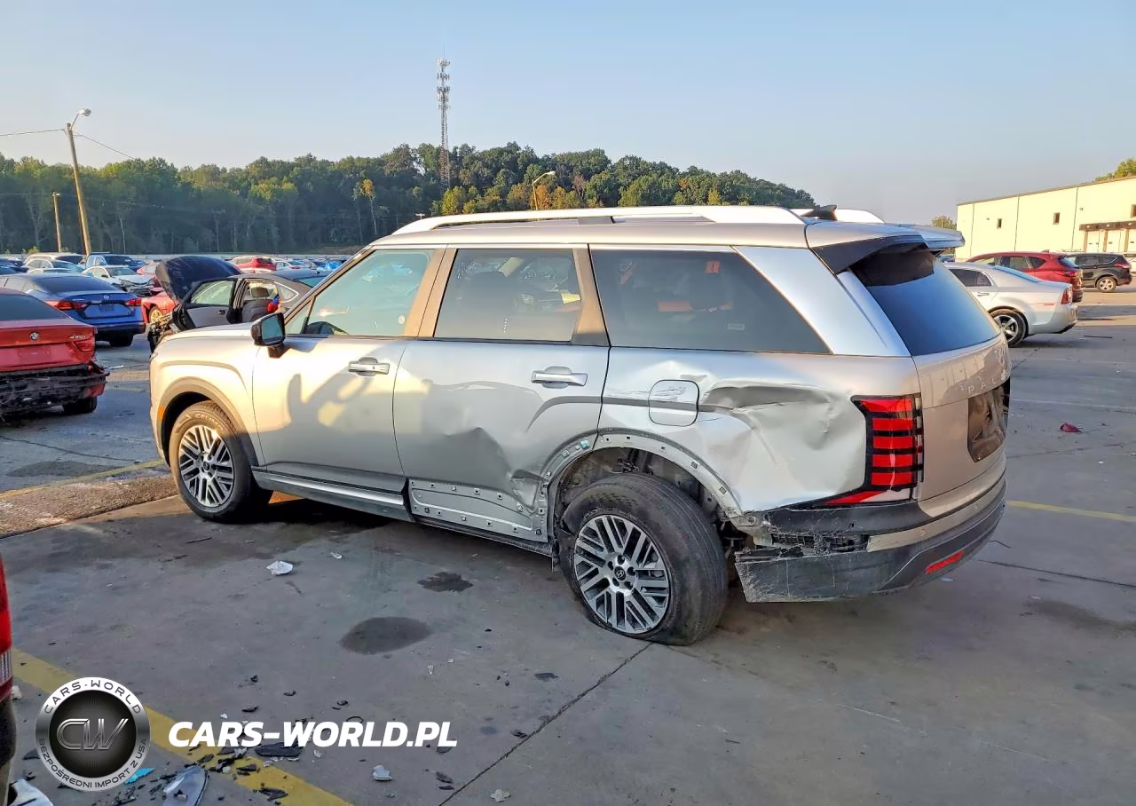 2026 Hyundai Palisade Sel VIN:KM8RL5S2XTU099445 - 2