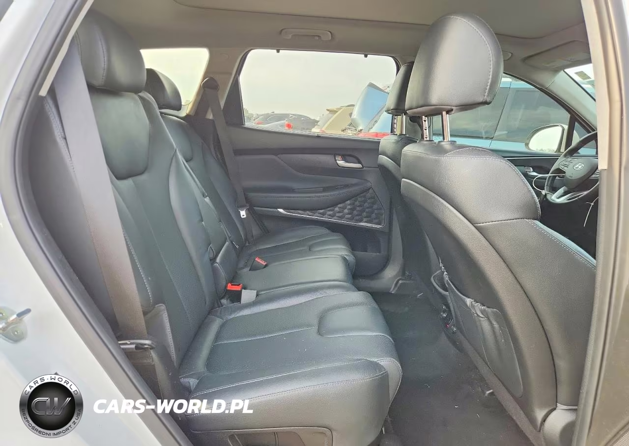 2020 Hyundai Santa Fe Limited VIN:5NMS5CAD9LH147497 - 10