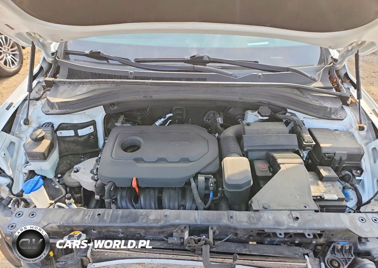 2020 Hyundai Santa Fe Limited VIN:5NMS5CAD9LH147497 - 11