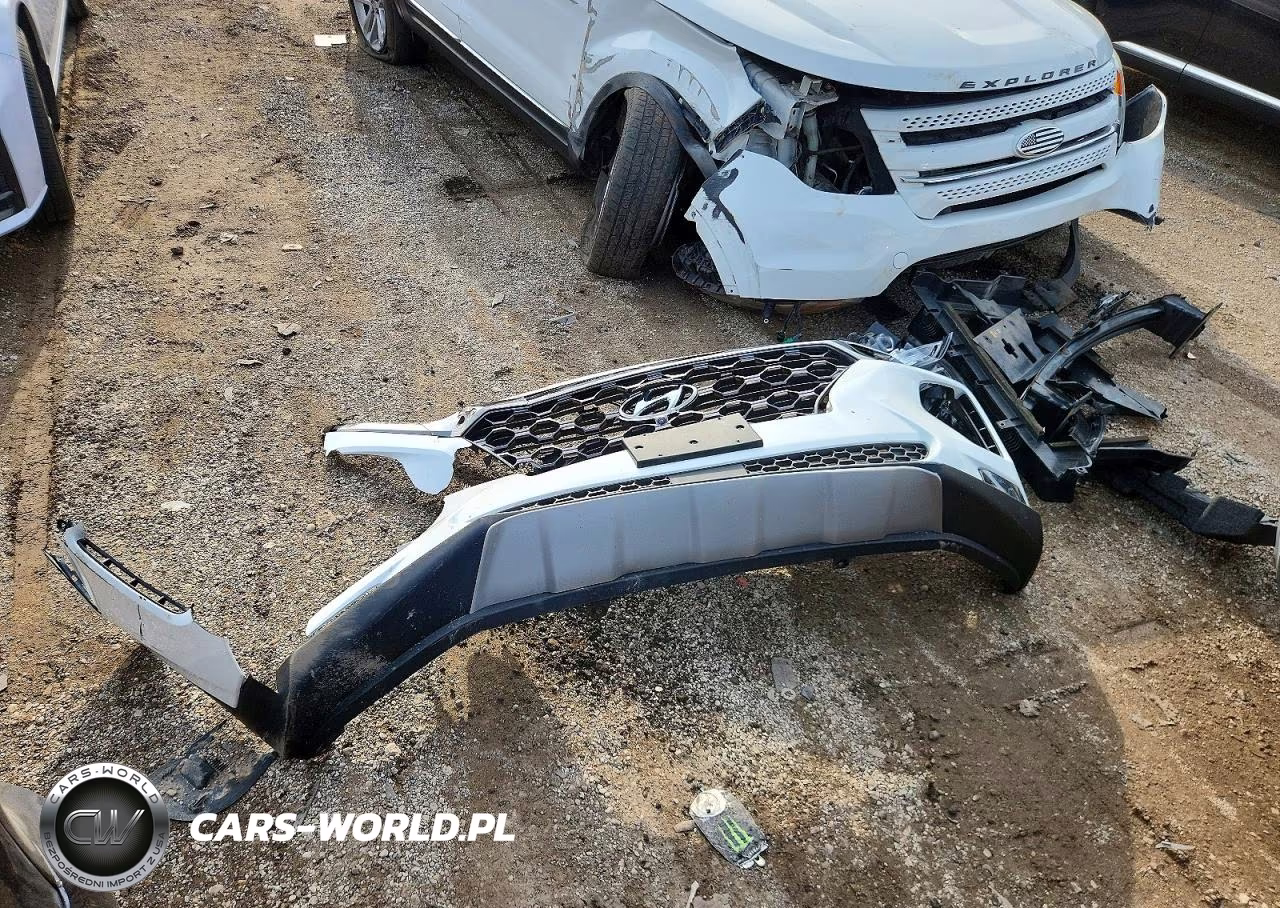 2020 Hyundai Santa Fe Limited VIN:5NMS5CAD9LH147497 - 12