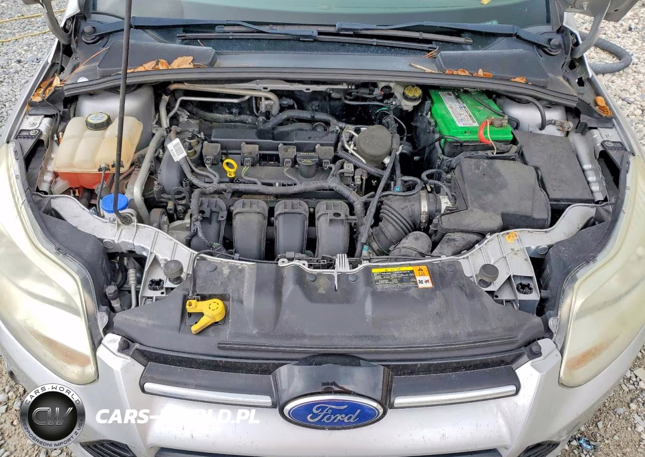 2012 Ford Focus Sel VIN:1FAHP3M22CL160563 - 11