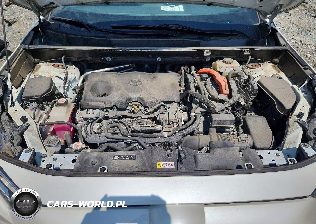 2019 Toyota Rav4 Xse VIN:JTMEWRFV9KJ021227 - 12