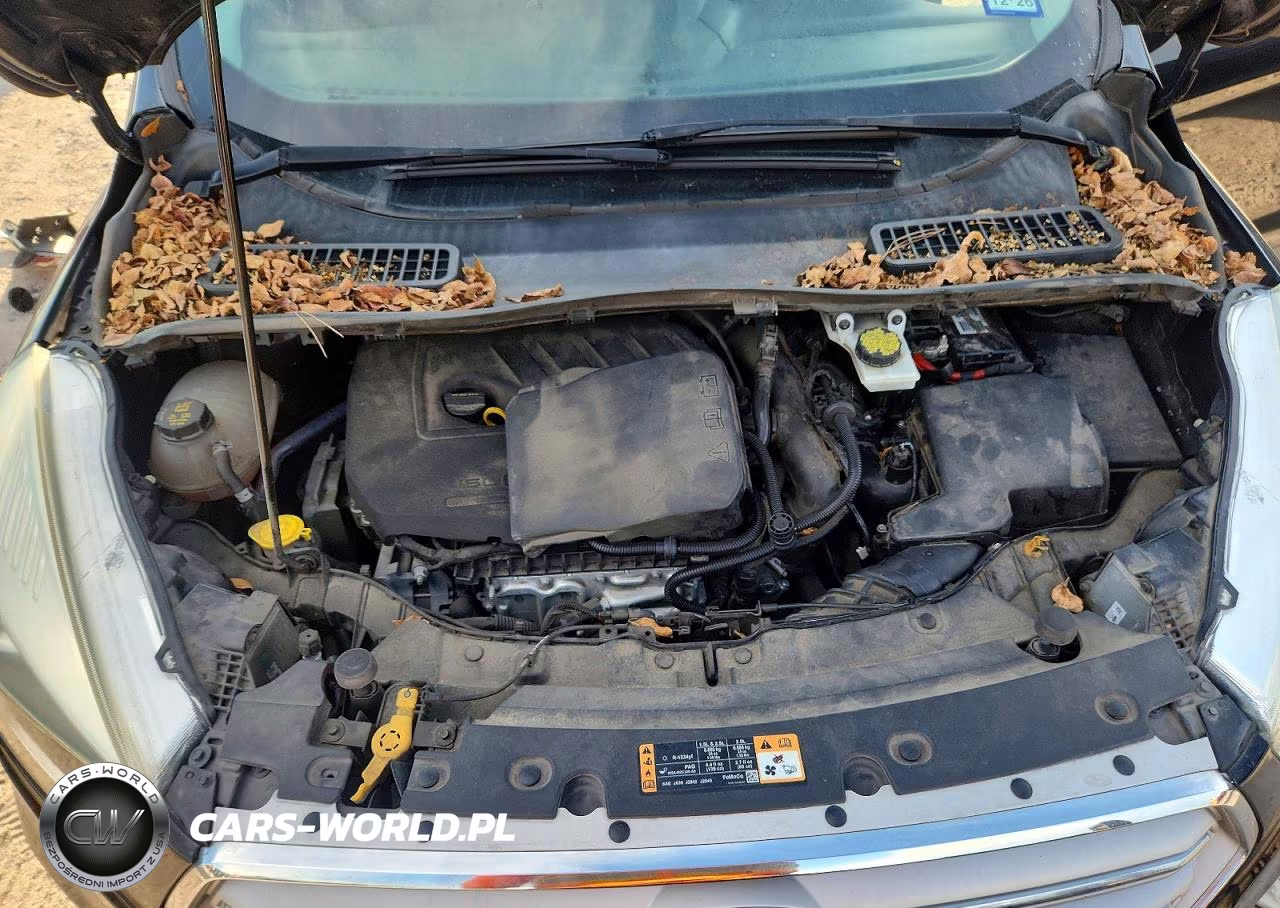 2018 Ford Escape Sel VIN:1FMCU0HD0JUA84755 - 12