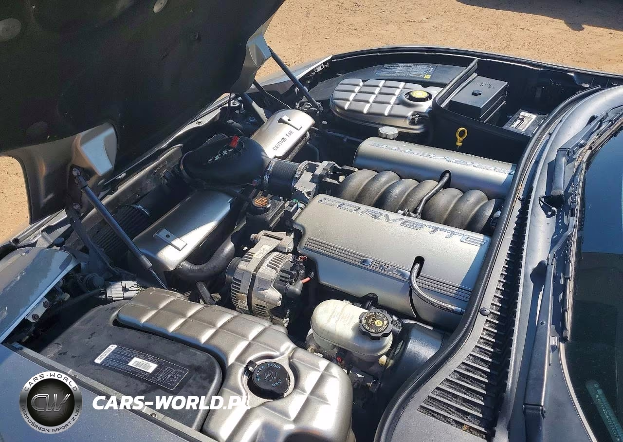 1999 Chevrolet Corvette VIN:1G1YY32G6X5112119 - 11