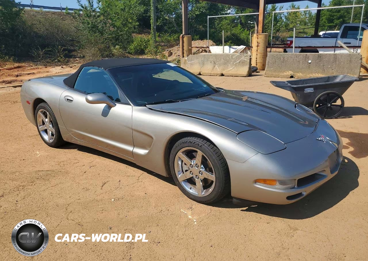 1999 Chevrolet Corvette VIN:1G1YY32G6X5112119 - 4