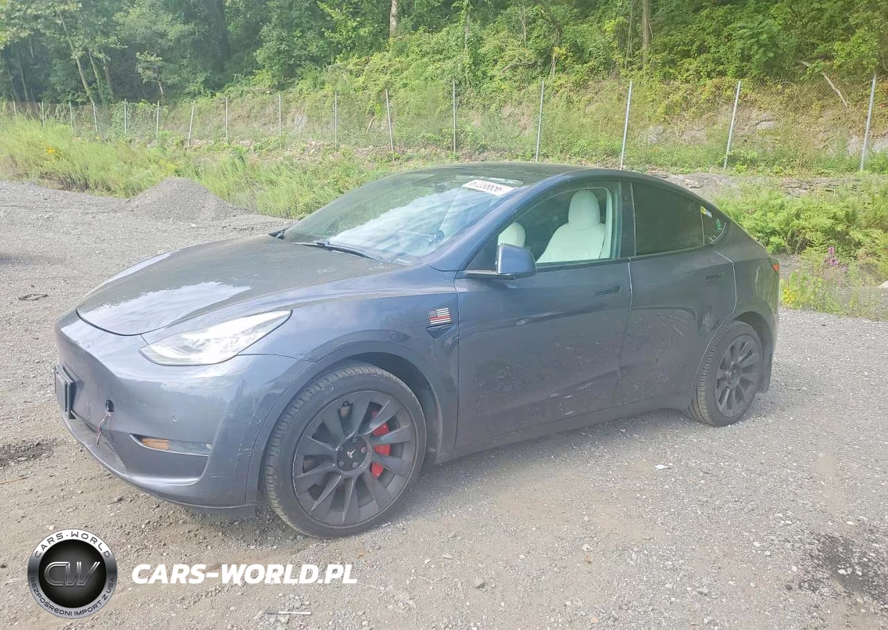 2020 Tesla Model Y VIN:5YJYGDEE9LF036236 - 1