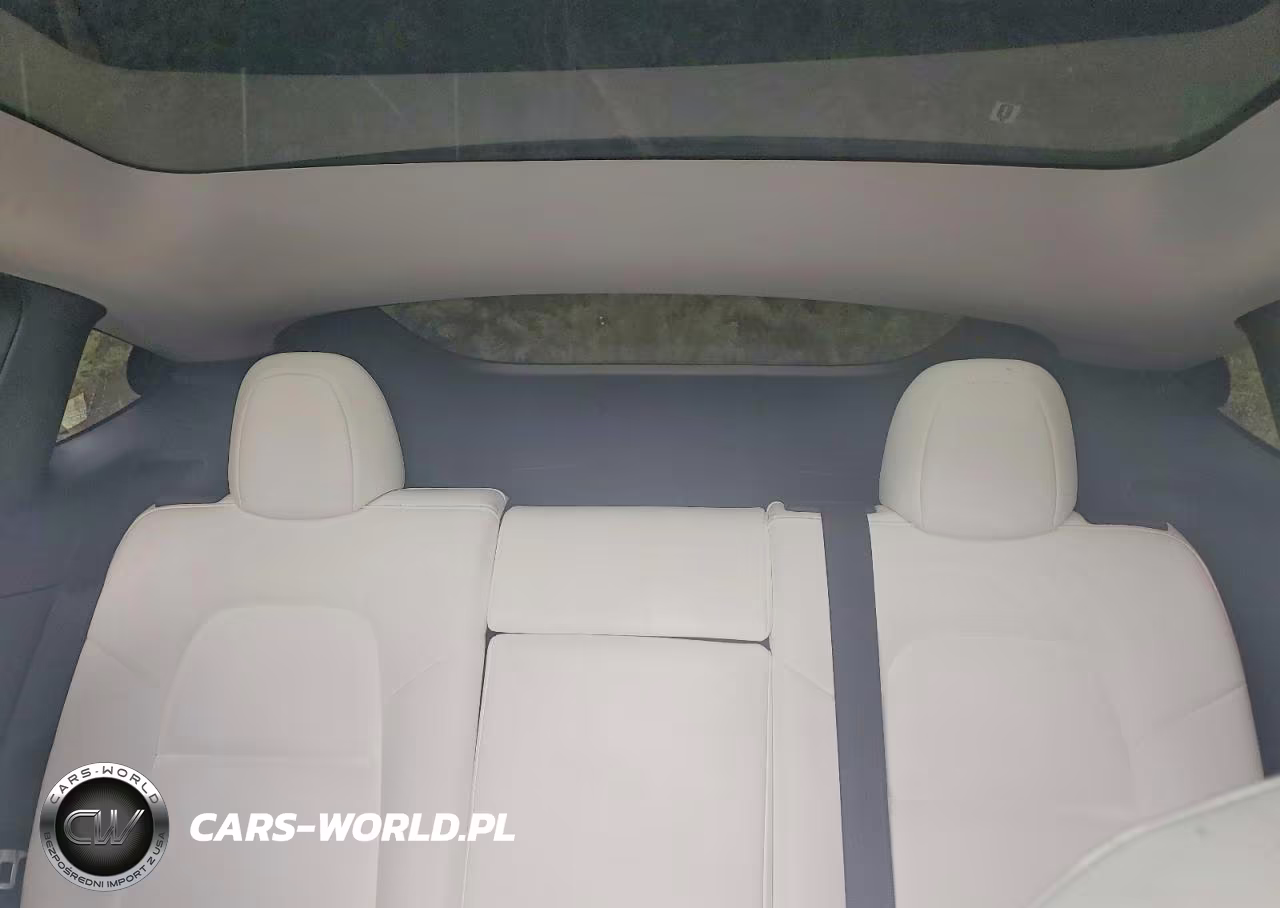 2020 Tesla Model Y VIN:5YJYGDEE9LF036236 - 10