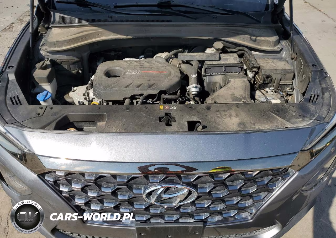 2020 Hyundai Santa Fe Limited 2.0T VIN:5NMS5CAA3LH160297 - 12