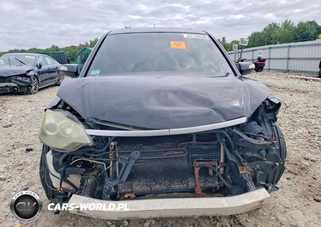 2009 Acura Rdx Technology VIN:5J8TB18599A002688 - 5