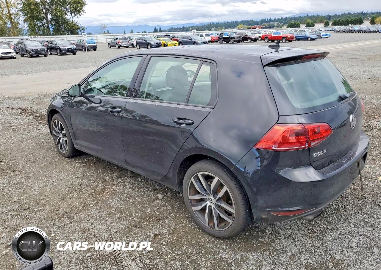 2015 Volkswagen Golf VIN:3VW217AUXFM038600 - 2