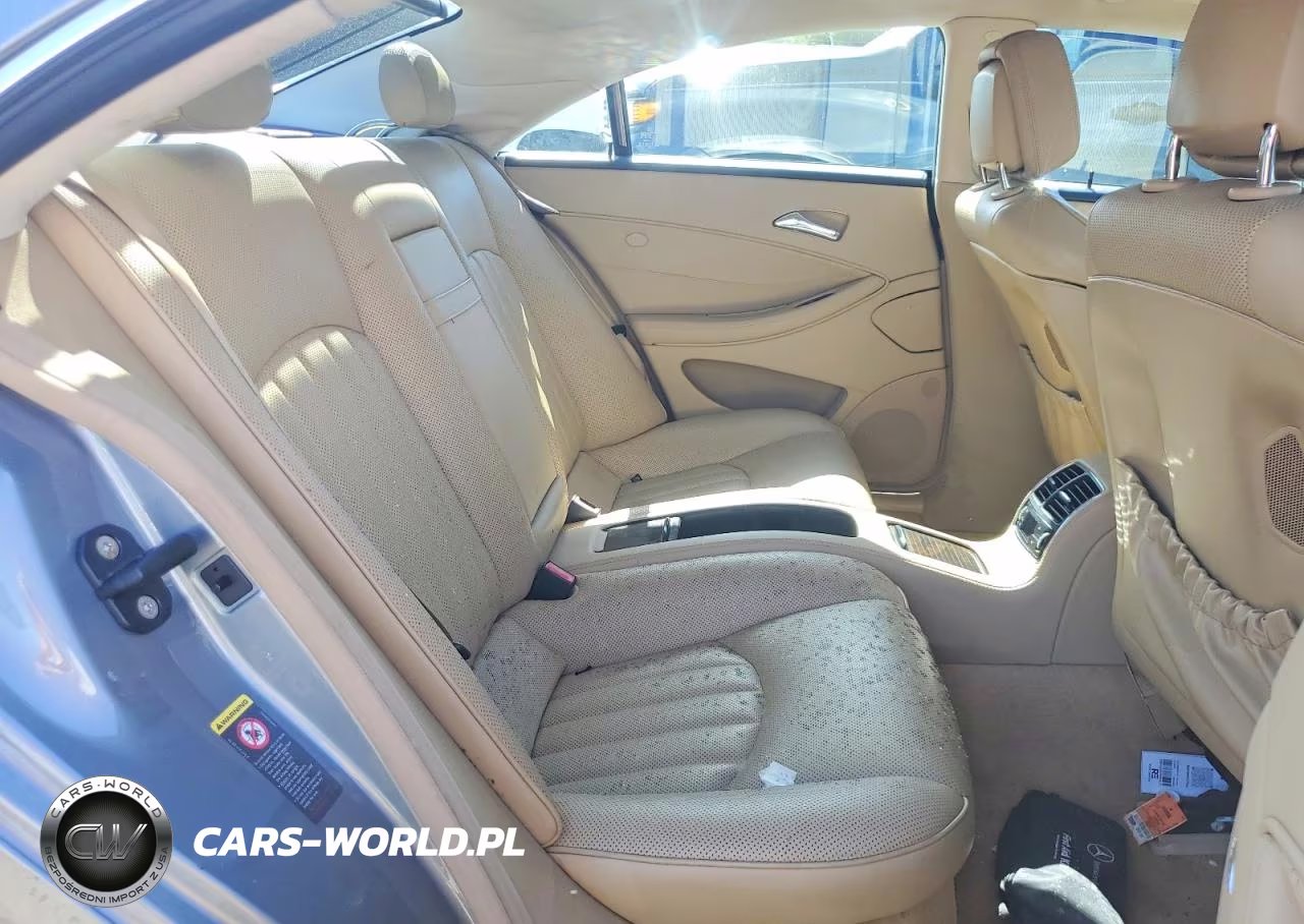 2010 Mercedes-Benz Cls 550 VIN:WDDDJ7CBXAA165625 - 10