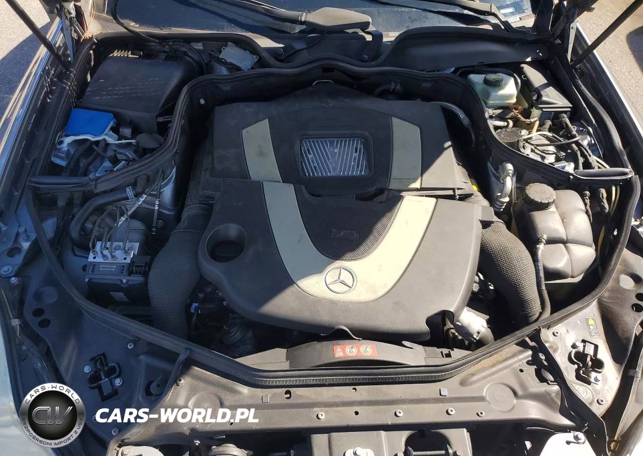 2010 Mercedes-Benz Cls 550 VIN:WDDDJ7CBXAA165625 - 11