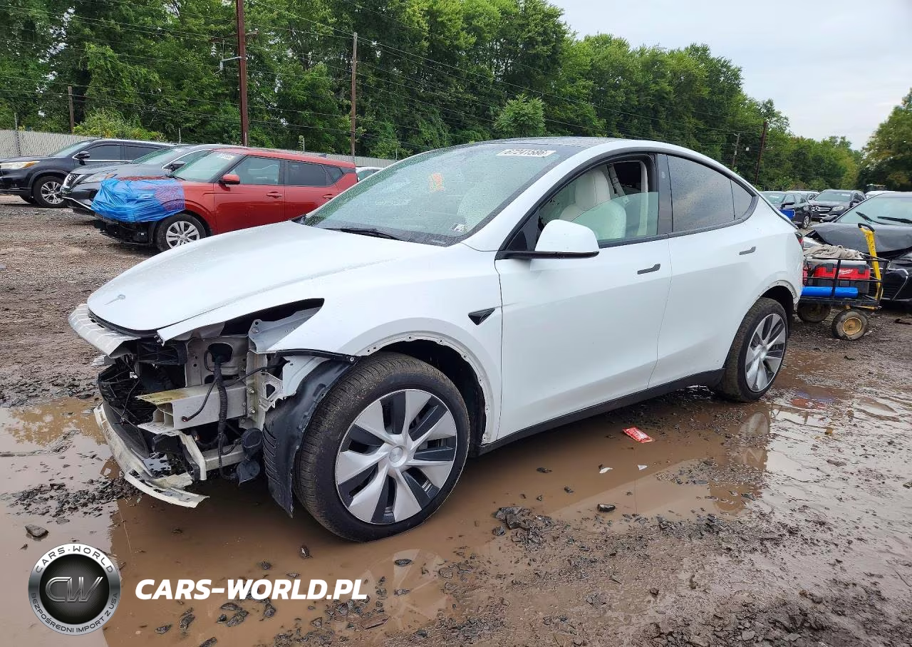 2023 Tesla Model Y
