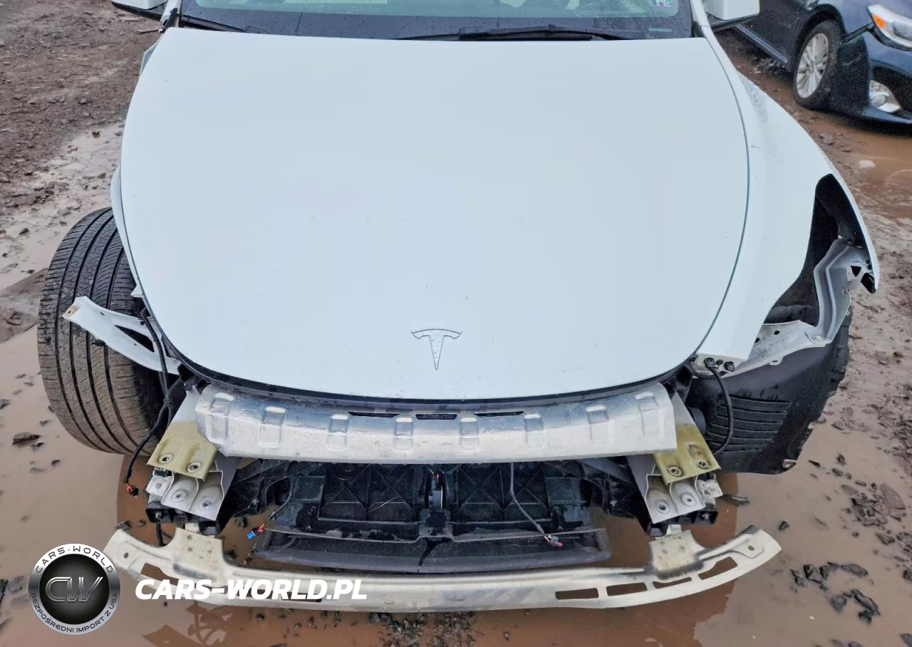 2023 Tesla Model Y VIN:7SAYGDEE5PF797211 - 12