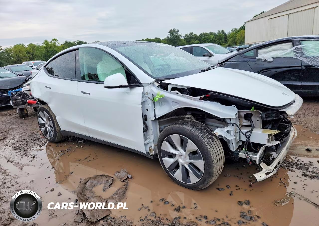 2023 Tesla Model Y VIN:7SAYGDEE5PF797211 - 4
