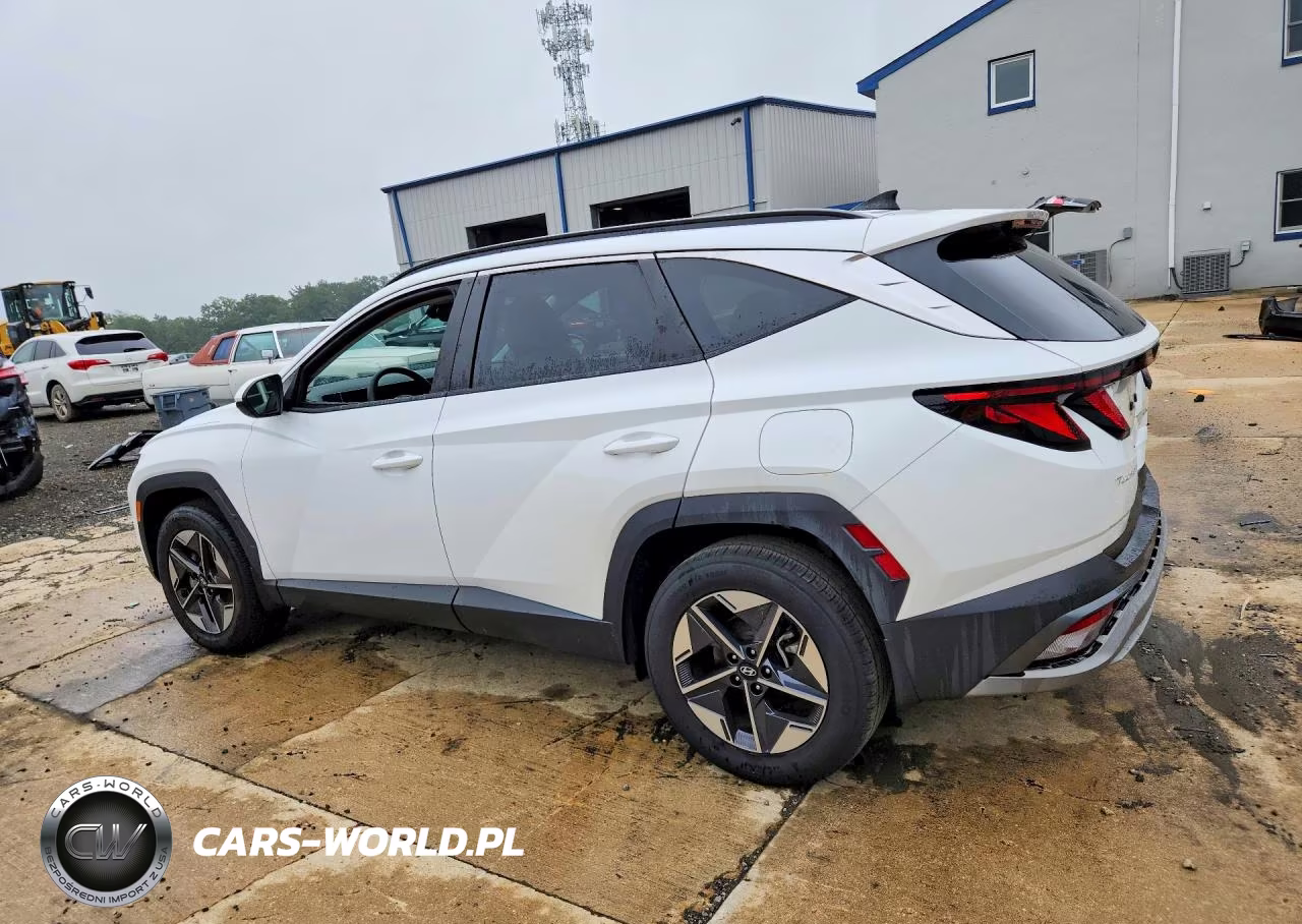 2025 Hyundai Tucson Sel VIN:5NMJBCDEXSH522255 - 2
