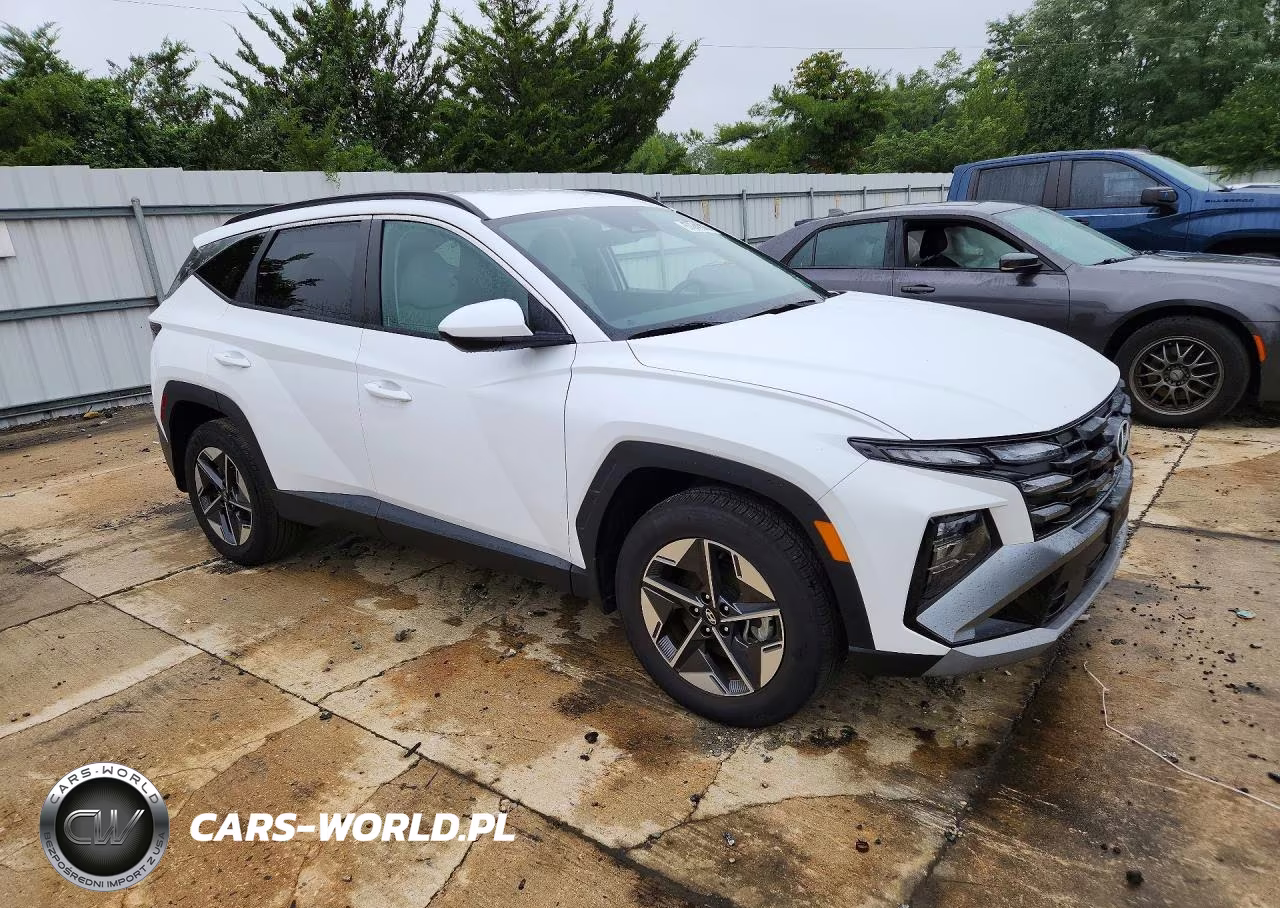 2025 Hyundai Tucson Sel VIN:5NMJBCDEXSH522255 - 4