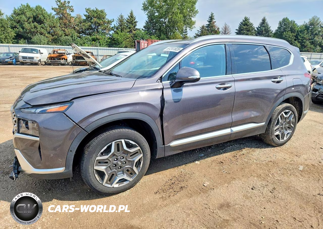 2022 Hyundai Santa Fe Limited VIN:KM8S5DA18NU033249 - 1