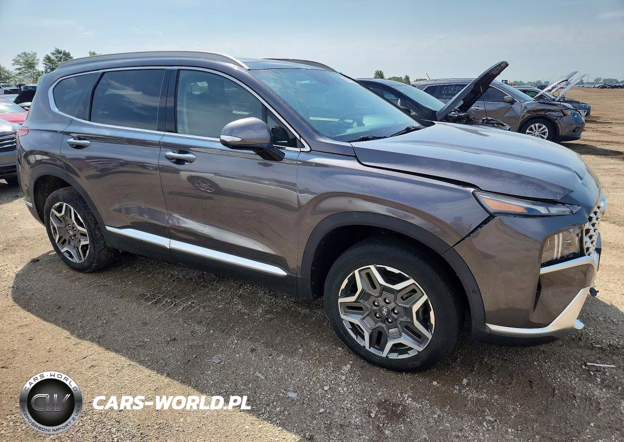 2022 Hyundai Santa Fe Limited VIN:KM8S5DA18NU033249 - 4