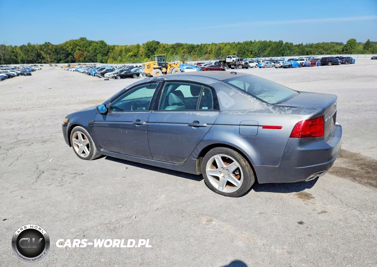 2004 Acura Tl VIN:19UUA66264A073126 - 2