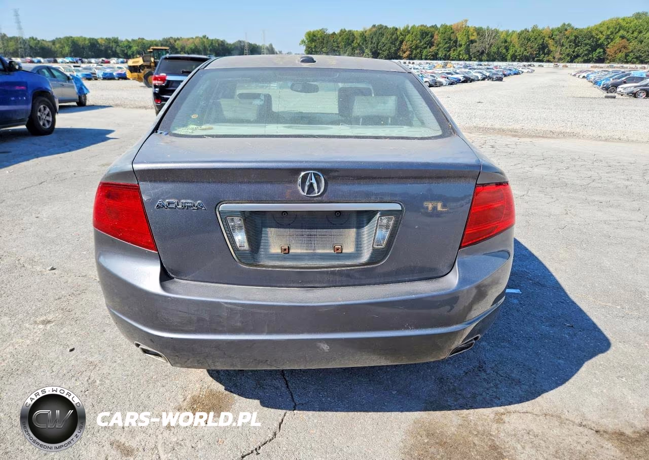 2004 Acura Tl VIN:19UUA66264A073126 - 6