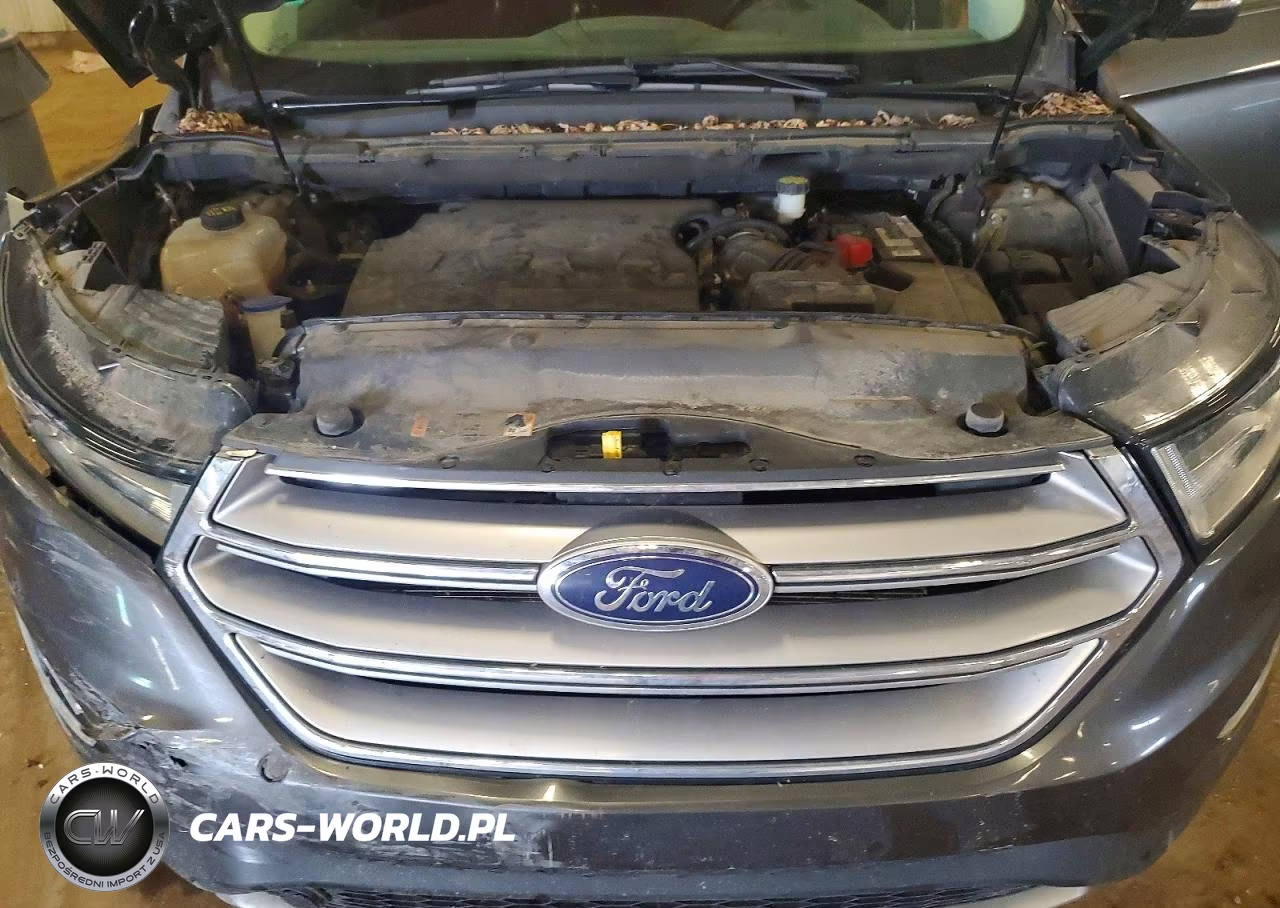 2016 Ford Edge Sel VIN:2FMPK4J89GBC60390 - 11