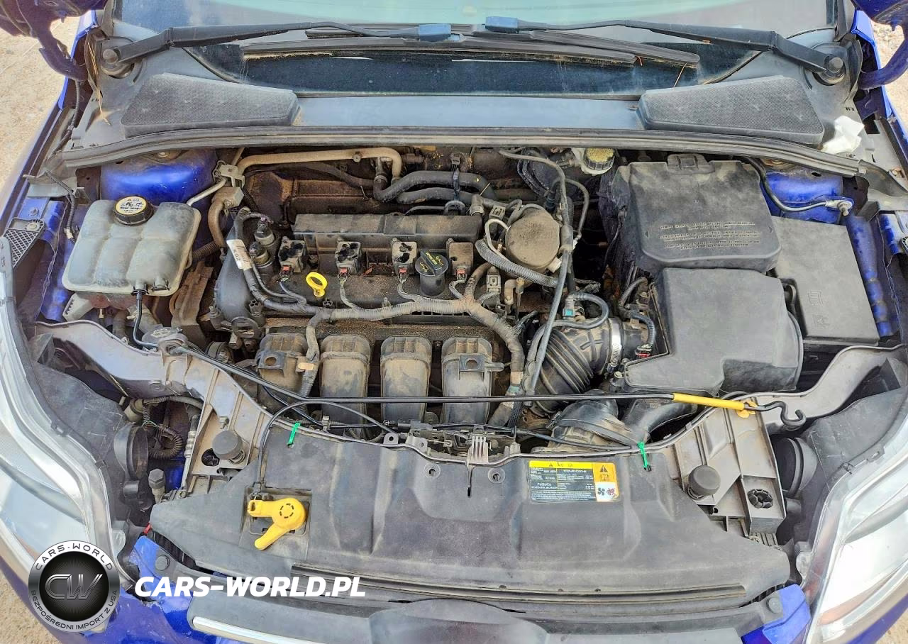 2013 Ford Focus Se VIN:1FADP3F27DL187402 - 11