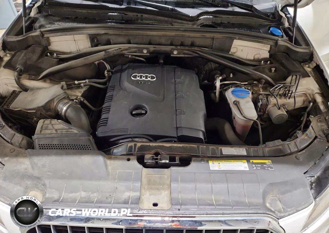 2014 Audi Q5 Premium Plus VIN:WA1LFAFP7EA129418 - 12