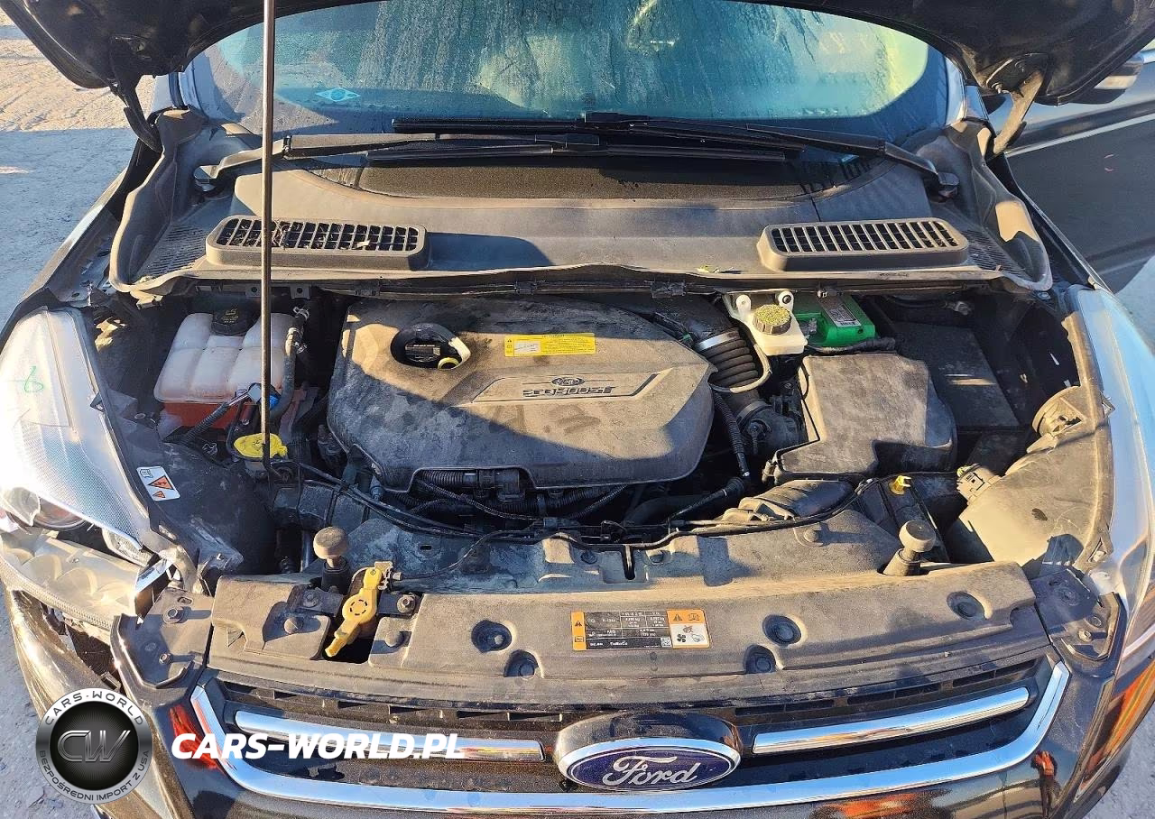2014 Ford Escape Titanium VIN:1FMCU0JX0EUC99322 - 12