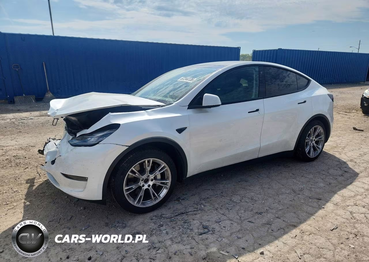 2023 Tesla Model Y VIN:7SAYGDEE7PA054532 - 1