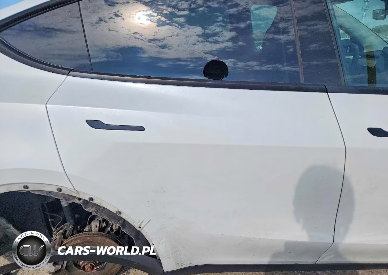 2023 Tesla Model Y VIN:7SAYGDEE7PA054532 - 10