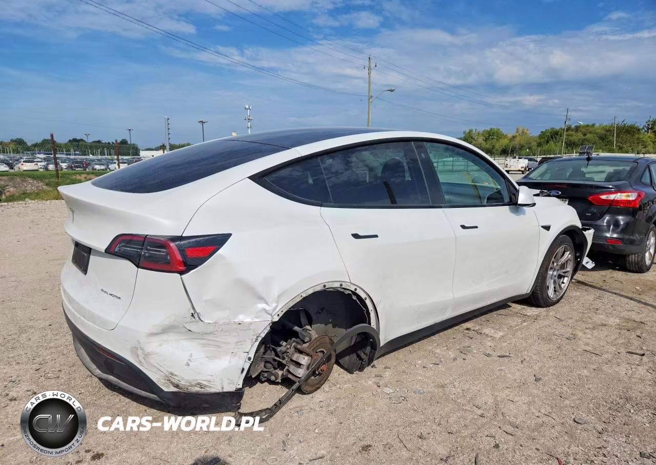 2023 Tesla Model Y VIN:7SAYGDEE7PA054532 - 3