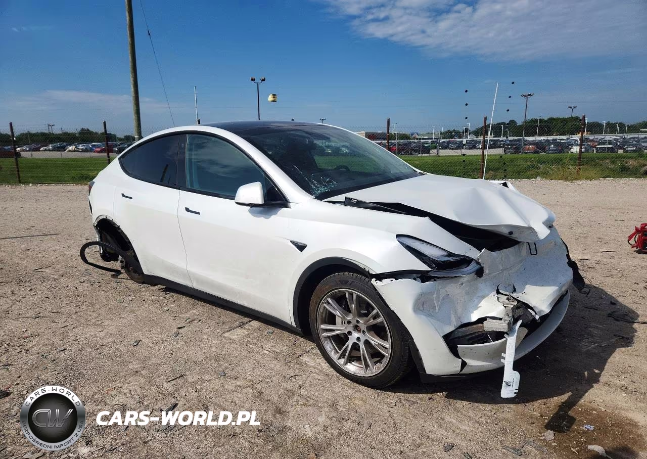 2023 Tesla Model Y VIN:7SAYGDEE7PA054532 - 4